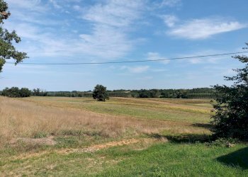 Foto 52 - Casa indipendente strada comunale della boarina
 
72/b, Quattordio - foto 52