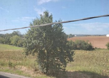 Foto 51 - Casa indipendente strada comunale della boarina
 
72/b, Quattordio - foto 51