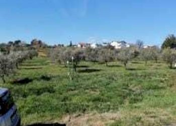 terreno - Appartamento Via Coccialonga 15, Alanno - foto 16