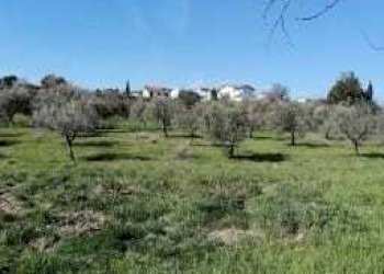 terreno - Appartamento Via Coccialonga 15, Alanno - foto 17