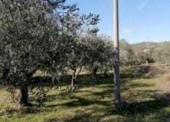 terreno - Appartamento Via Coccialonga 15, Alanno - foto 18