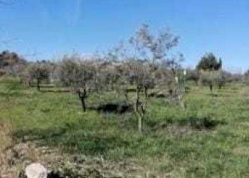 terreno - Appartamento Via Coccialonga 15, Alanno - foto 19