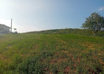 terreno - Terreno edificabile Via Aldo Moro 55, Alanno - foto 5