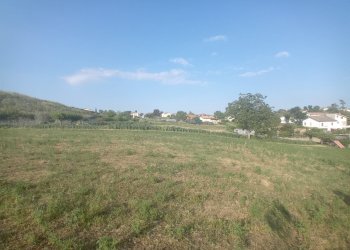 terreno - Terreno edificabile Via Aldo Moro 55, Alanno - foto 9