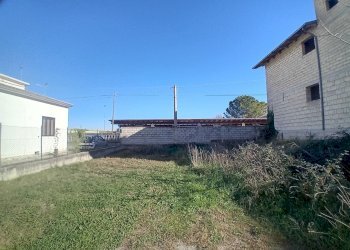 giardino - Capannone Via Tiburtina 47, Manoppello - foto 20