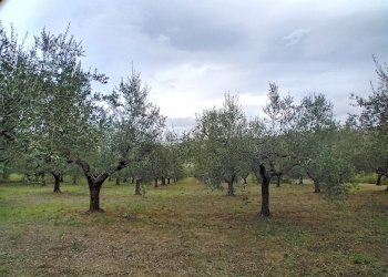 terreno - Terreno agricolo 73HC+HF Manoppello PE, Italia, Manoppello - foto 1