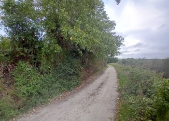 dettagli - Terreno agricolo 73HC+HF Manoppello PE, Italia, Manoppello - foto 4