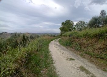 dettagli - Terreno agricolo 73HC+HF Manoppello PE, Italia, Manoppello - foto 7