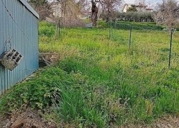 20250318_163228.jpg - Casa indipendente Guardiagrele - foto 24