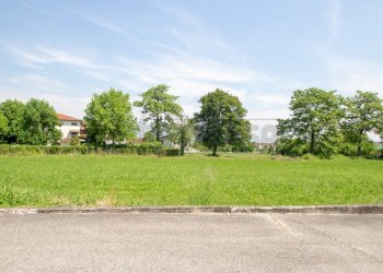 IMG_6609-2.jpg - Terreno edificabile Via Bassanese 24, Pozzoleone - foto 5