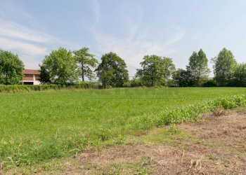 IMG_6605-2.jpg - Terreno edificabile Via Bassanese 24, Pozzoleone - foto 6