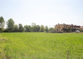 IMG_6619-2.jpg - Terreno edificabile Via Bassanese 24, Pozzoleone - foto 7