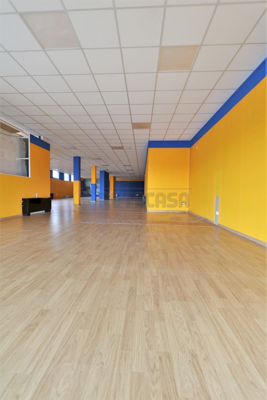 IMG_6096.JPG - Commercial Premises Strada Padana verso Padova 64, Vicenza - photo 2