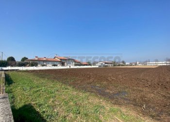 1.jpg - Terreno edificabile Tezze sul Brenta - foto 1