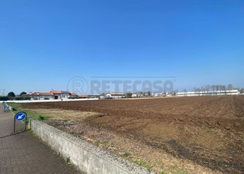 4.jpg - Terreno edificabile Tezze sul Brenta - foto 2