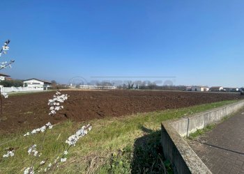 7.jpg - Terreno edificabile Tezze sul Brenta - foto 4