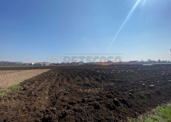 12.jpg - Terreno edificabile Tezze sul Brenta - foto 8