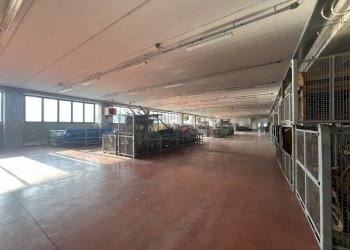 IMG_9488.jpeg - Locale Commerciale Cassola - foto 1