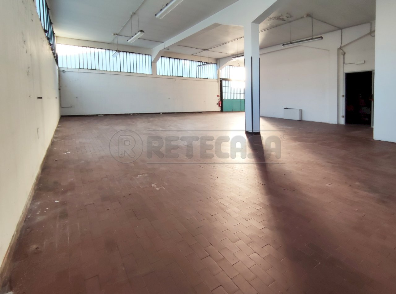 1734079937768.jpg - Magazzino Bassano del Grappa - foto 3