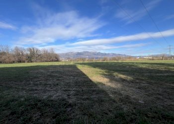 IMG_8925.jpeg - Rustico Mussolente - foto 2