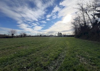 IMG_8930.jpeg - Rustico Mussolente - foto 6