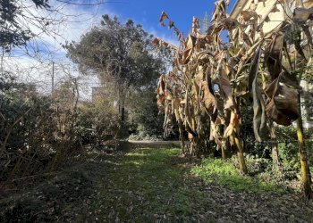 IMG_8923.jpeg - Rustico Mussolente - foto 7