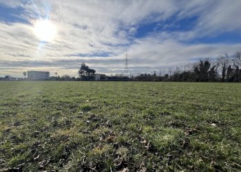 IMG_8931.jpeg - Rustico Mussolente - foto 8