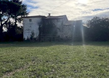 IMG_8940.jpeg - Rustico Mussolente - foto 10