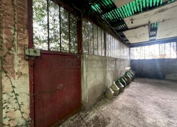 IMG_8947.jpeg - Rustico Mussolente - foto 20