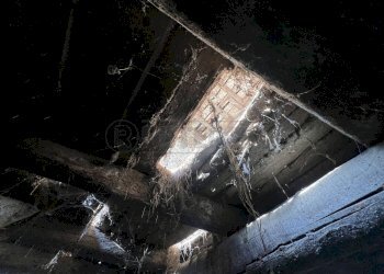 IMG_8944.jpeg - Rustico Mussolente - foto 21