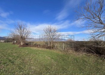 IMG_8989.jpeg - Rustico Mussolente - foto 28