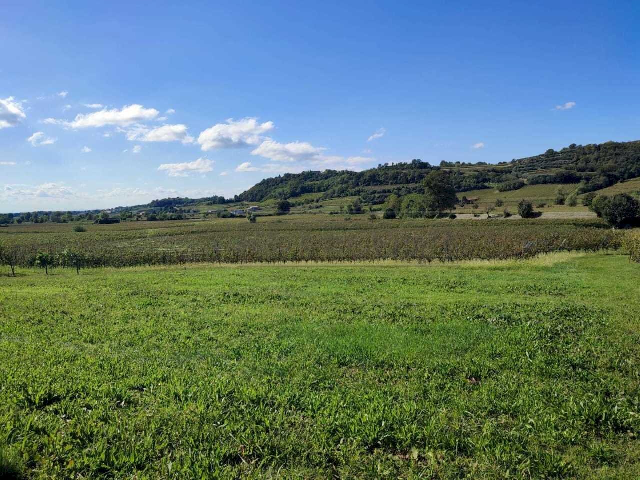 terreno edificabile - Terreno edificabile Contrada Selva 52, Montebello Vicentino - foto 1