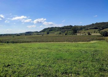 terreno edificabile - Terreno edificabile Contrada Selva 52, Montebello Vicentino - foto 1
