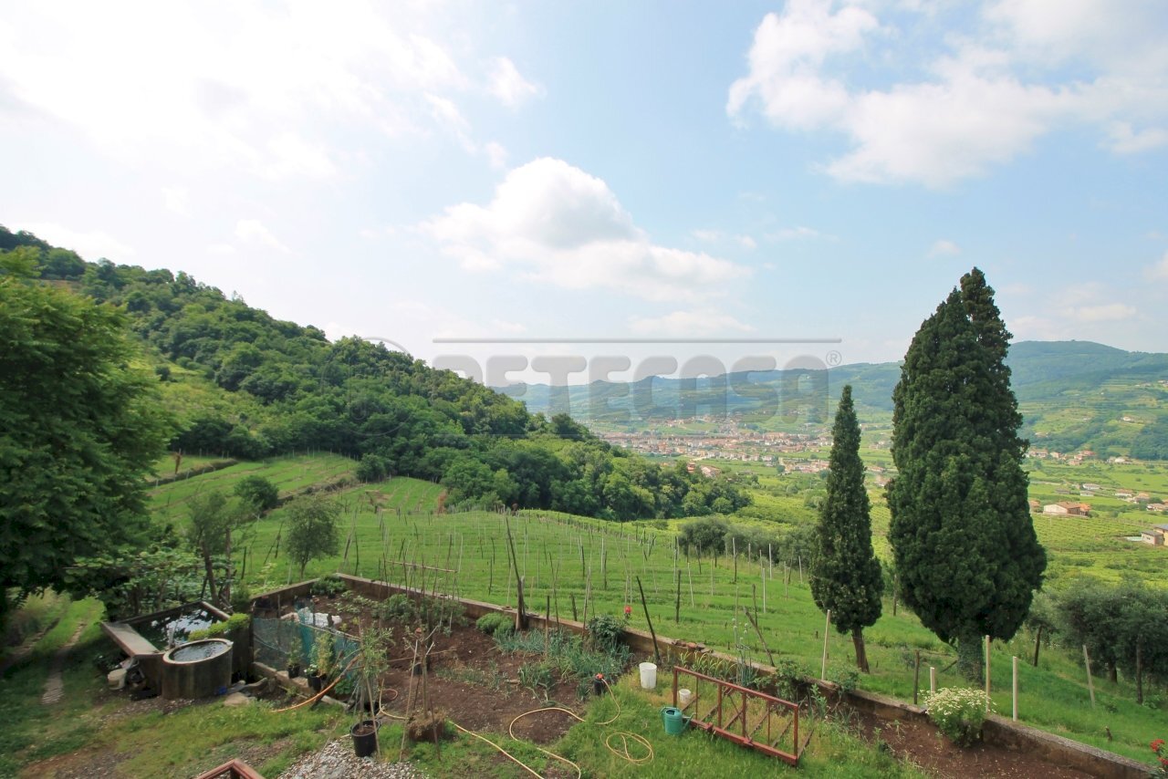 vista sui terreni di proprieta e la vallata - Casale Via Danesi di Sopra 50, Montecchia di Crosara - photo 2