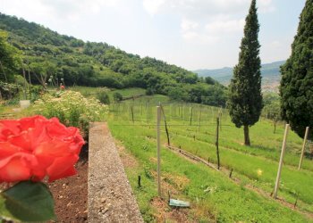 terreni - Casale Via Danesi di Sopra 50, Montecchia di Crosara - foto 28