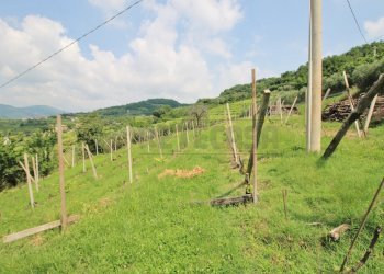 terreni - Casale Via Danesi di Sopra 50, Montecchia di Crosara - foto 30