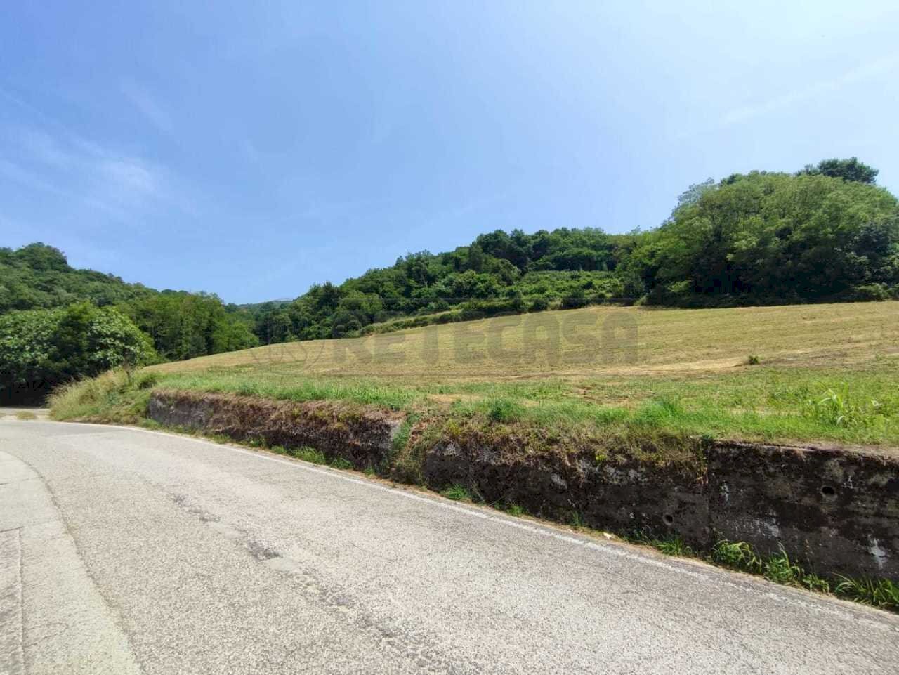 TERRENO - Terreno agricolo Via Sgaggeri 4, Chiampo - foto 1