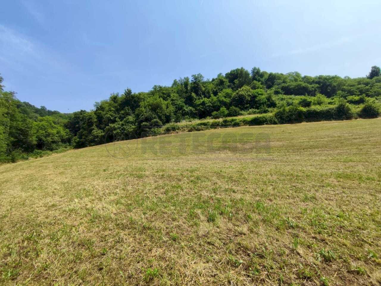 TERRENO - Terreno agricolo Via Sgaggeri 4, Chiampo - foto 3