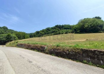 TERRENO - Terreno agricolo Via Sgaggeri 4, Chiampo - foto 1