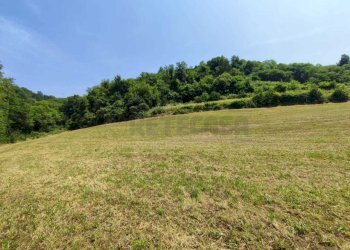 TERRENO - Terreno agricolo Via Sgaggeri 4, Chiampo - foto 3