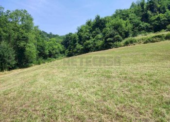 TERRENO - Terreno agricolo Via Sgaggeri 4, Chiampo - foto 4