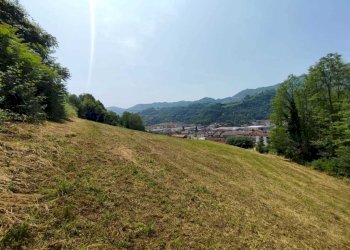 TERRENO - Terreno agricolo Via Sgaggeri 4, Chiampo - foto 5