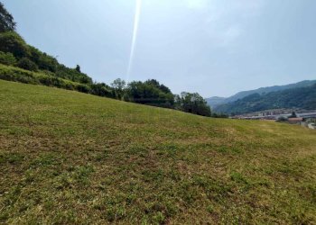 TERRENO - Terreno agricolo Via Sgaggeri 4, Chiampo - foto 6