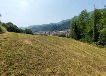 TERRENO - Terreno agricolo Via Sgaggeri 4, Chiampo - foto 7