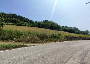 TERRENO - Terreno agricolo Via Sgaggeri 4, Chiampo - foto 8