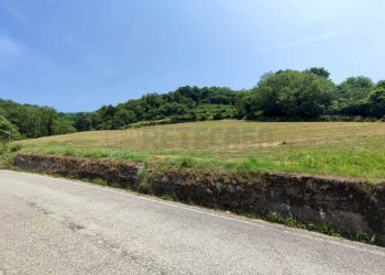 TERRENO - Terreno agricolo Via Sgaggeri 4, Chiampo - foto 9