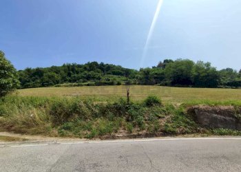 TERRENO - Terreno agricolo Via Sgaggeri 4, Chiampo - foto 10