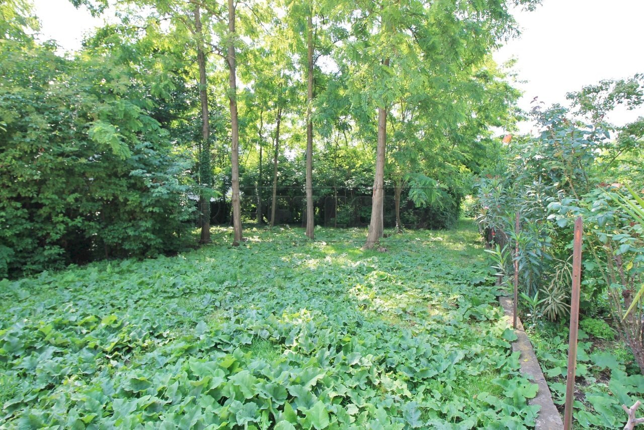 terreno edificabile - Building land Piazza G. Marconi 22, Gambellara - photo 3