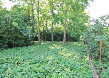 terreno edificabile - Terreno edificabile Piazza G. Marconi 22, Gambellara - foto 3