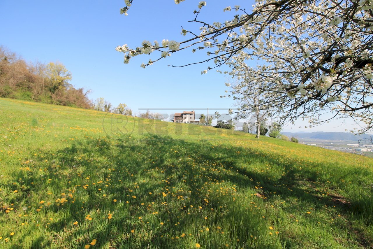 terreno esclusivo e rustico - Rustico Via San Nicolò 7, Montorso Vicentino - foto 3